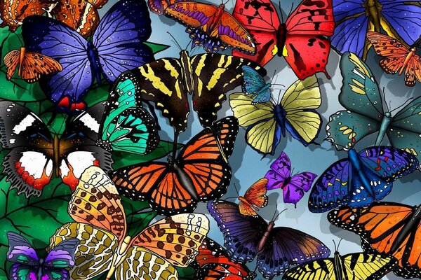 Cómo dibujar mariposas rápida y fácilmente