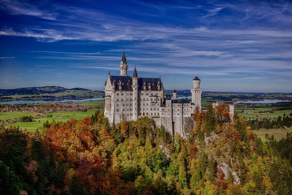 Castillo en medio de un denso bosque