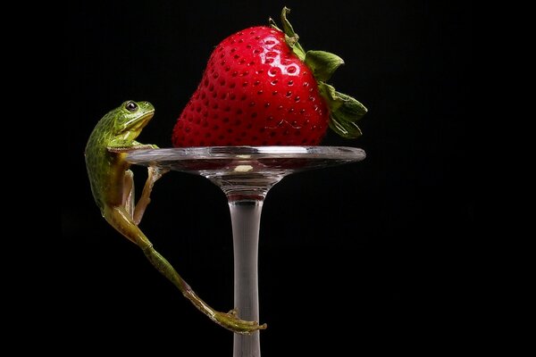 Frog tries to eat strawberries