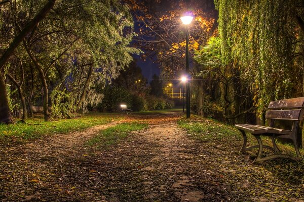 Bänke im Stadtpark