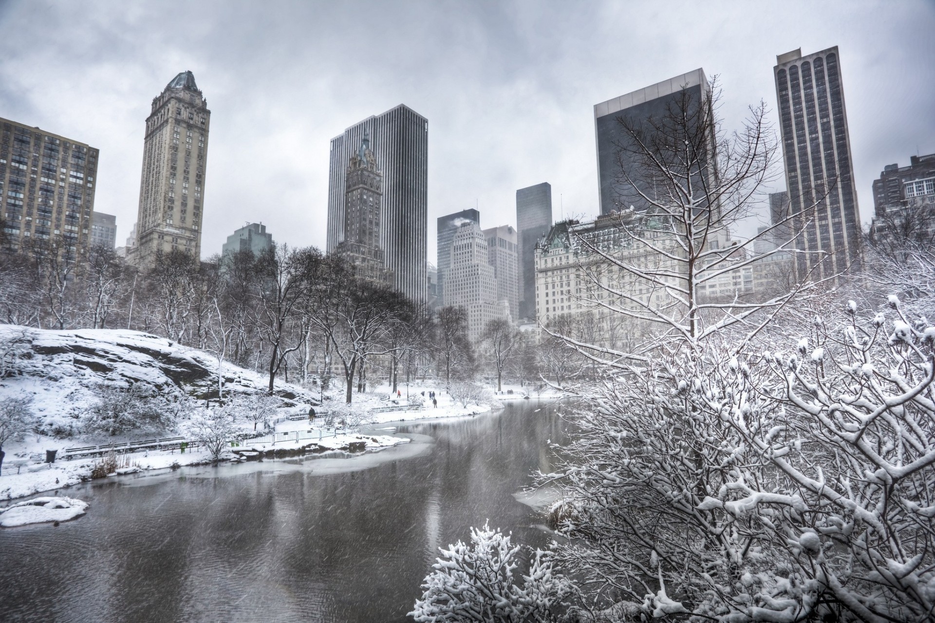 manhattan new york hiver arbres gratte-ciel étang bâtiment central park