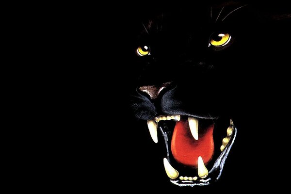 The grin of a painted panther in the dark