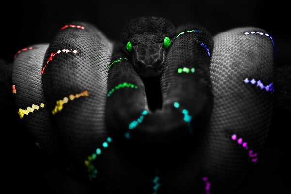 Serpent noir avec motif néon sur fond noir