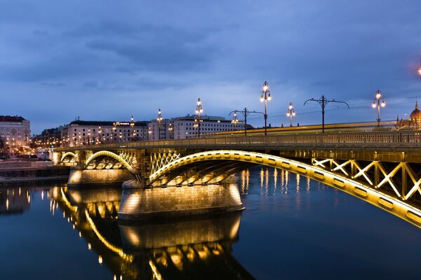 Puente sobre el Danubio nocturno