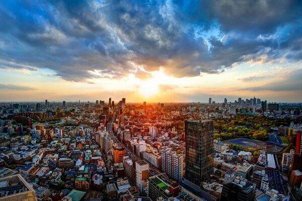 Coucher de soleil de Tokyo, Panorama