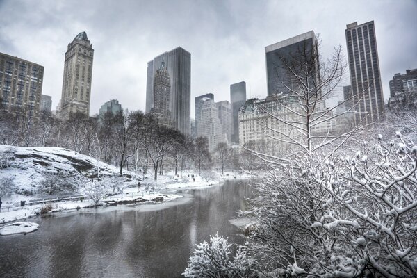 Zimowy Central Park w Nowym Jorku