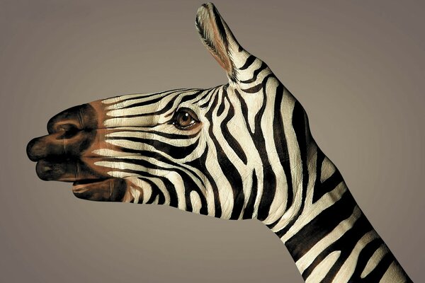 Tatuaggio sul braccio zebra in bianco e nero