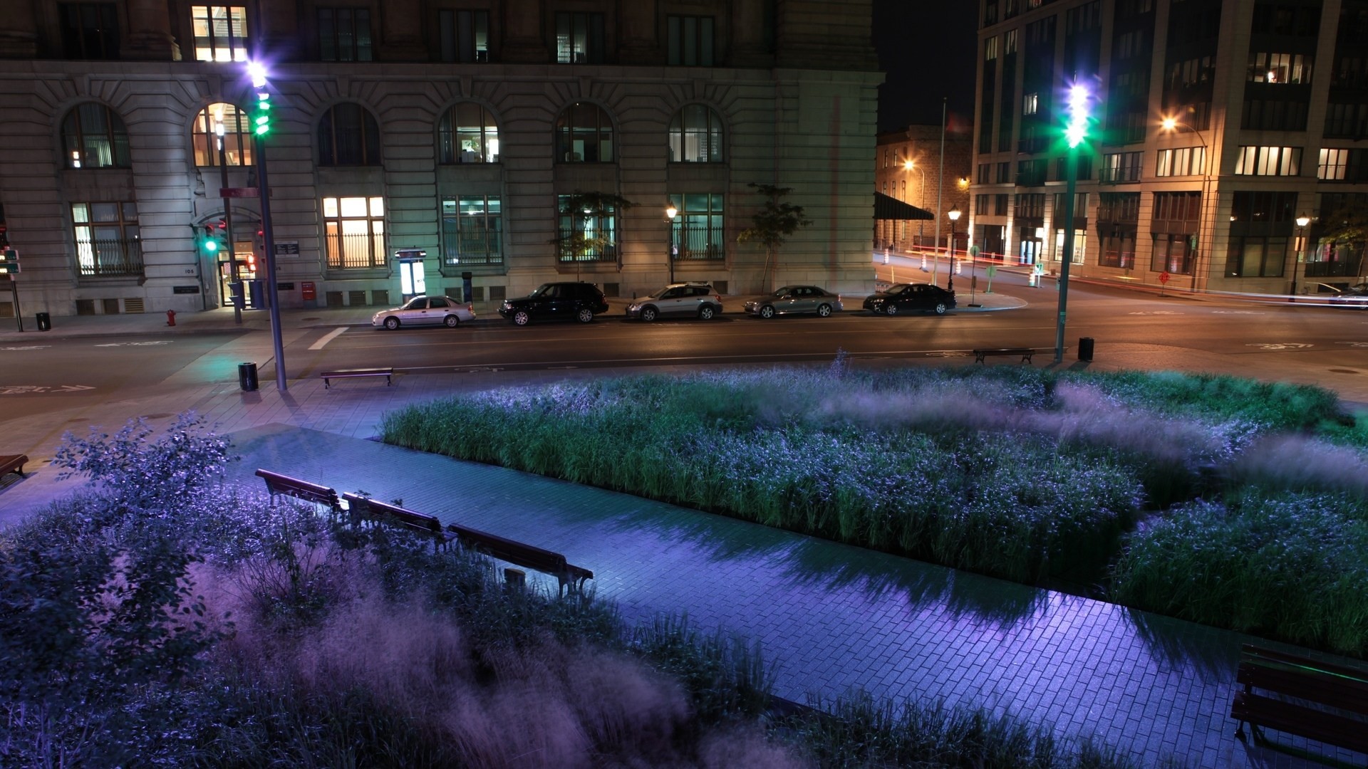 licht auto nacht stadt straße