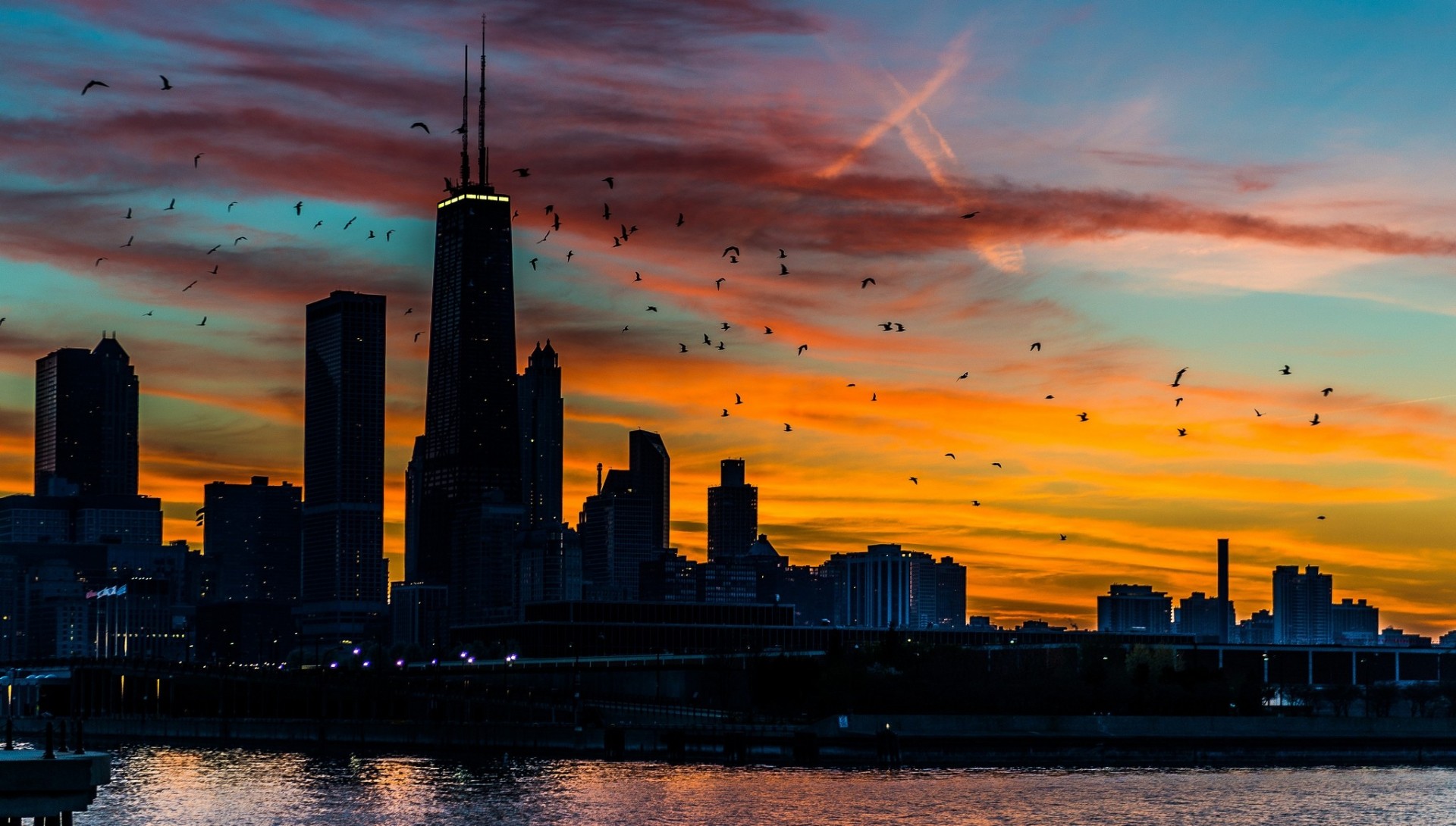 chicago sunset united states tree skyscraper sky building america