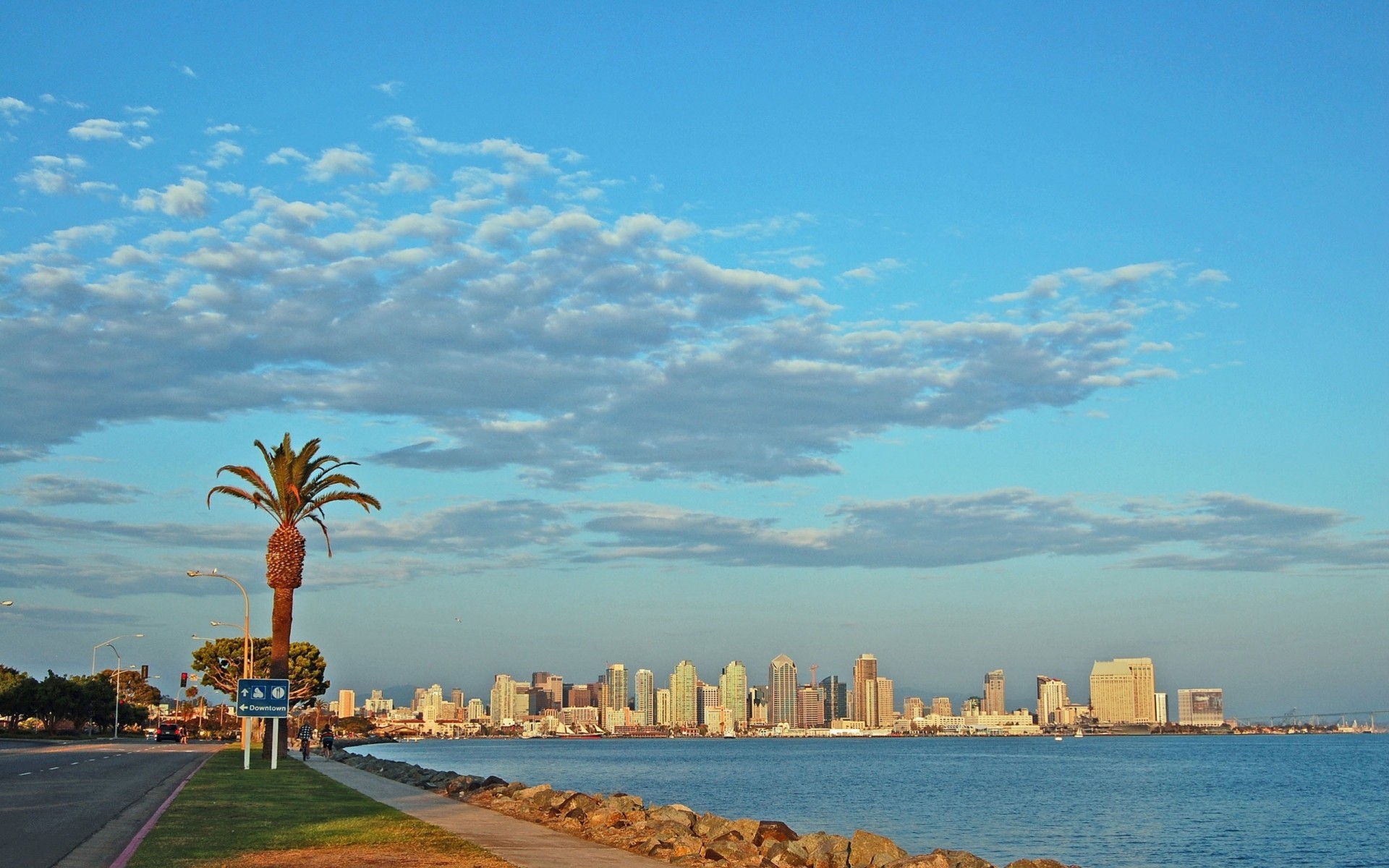 san diego palme grattacieli costa stati uniti california