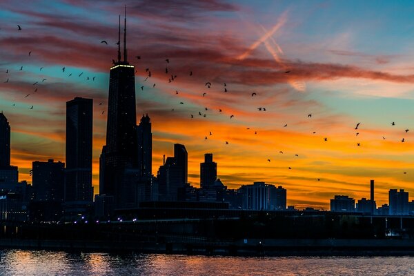 Chicago skyscrapers on the background of sunset