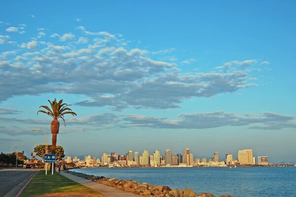 Drapacze chmur z dala od brzegu San Diego