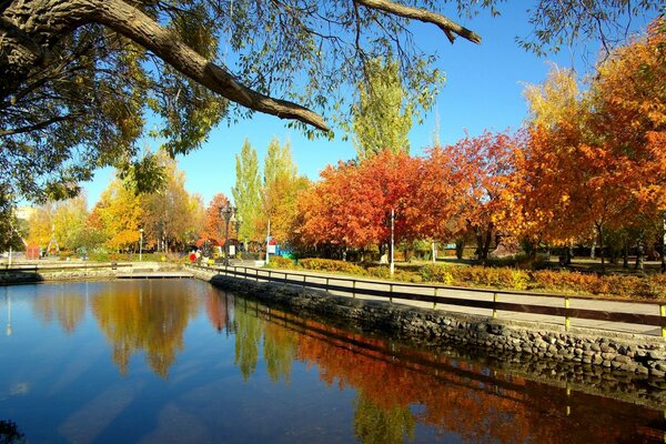 Gli alberi autunnali si riflettono nell acqua