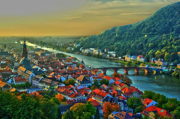 Die Dächer der Gebäude der Stadt Heidelberg mit der Brücke zum Hügel