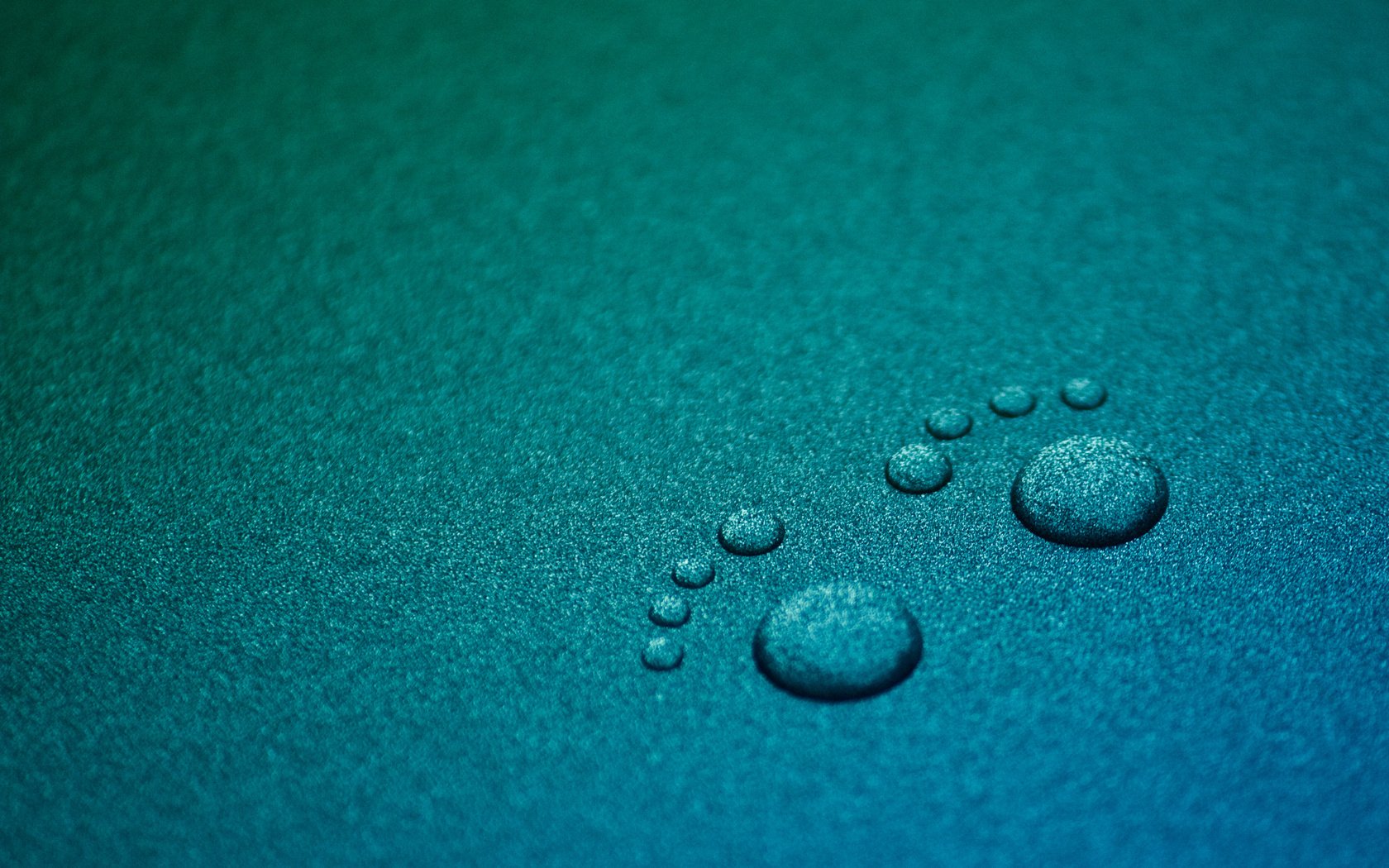 blue surface follow minimalism water droplets footprints legs paws drops water turquoise background