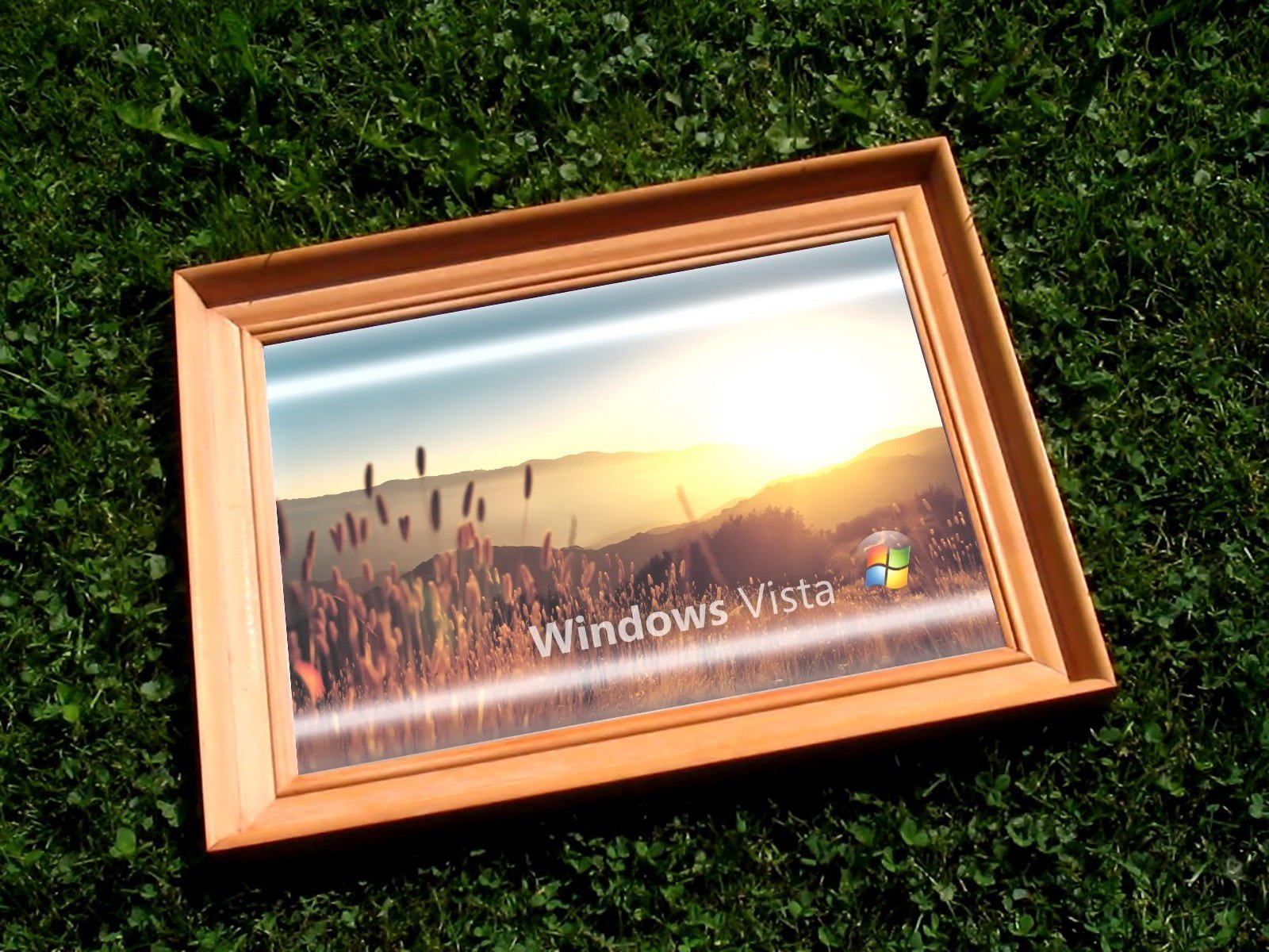 frame grass vista