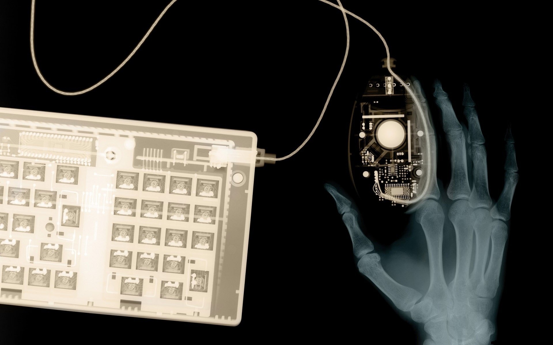 the human hand keyboard x-ray computer