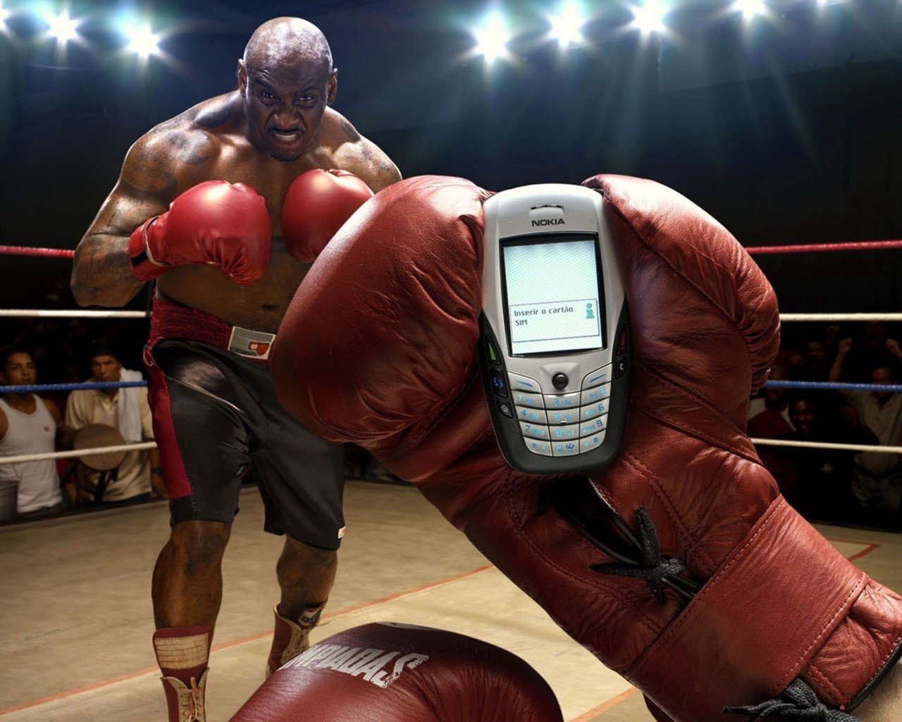 boxer telefon anruf