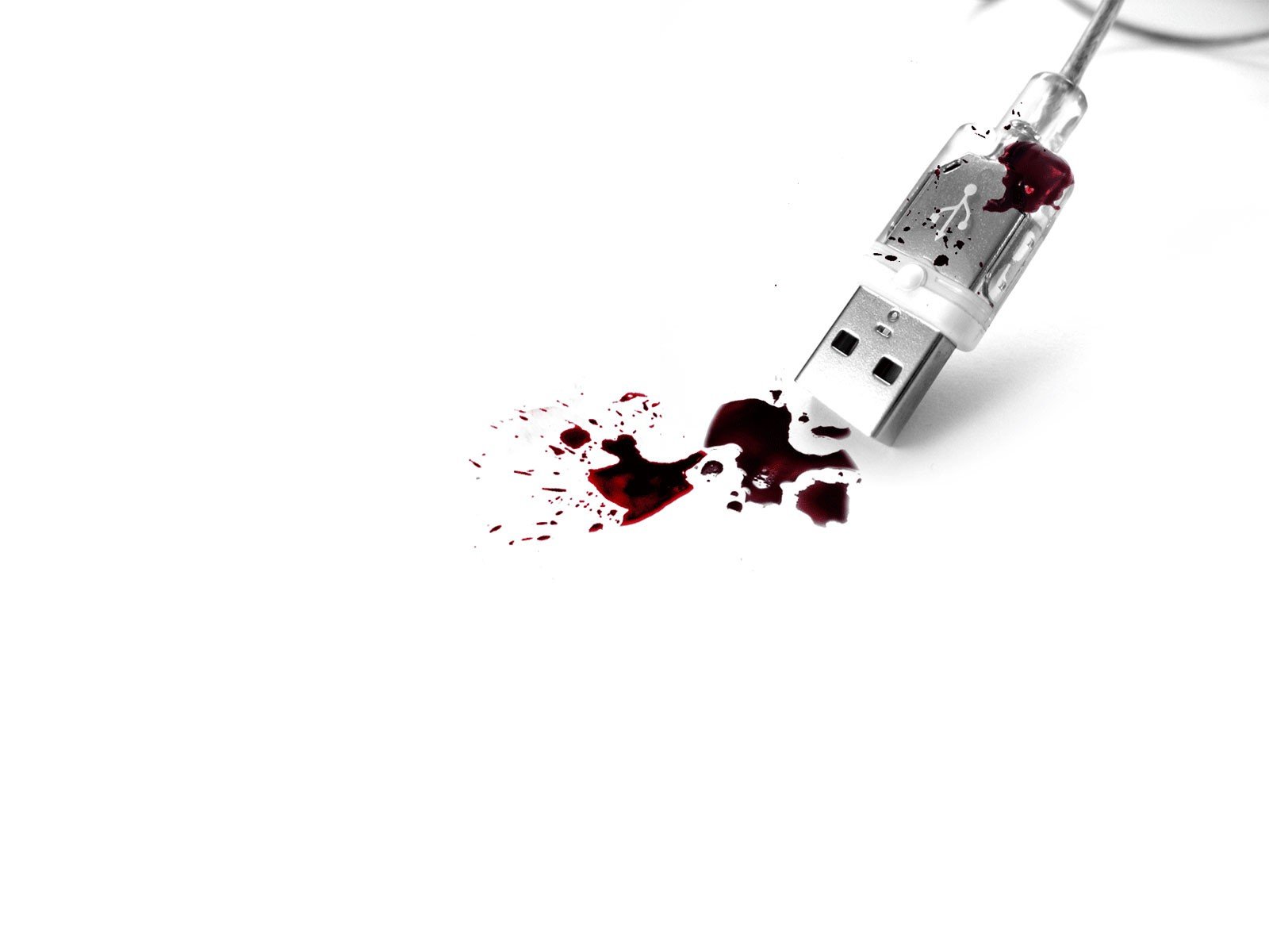 usb blanco sangre