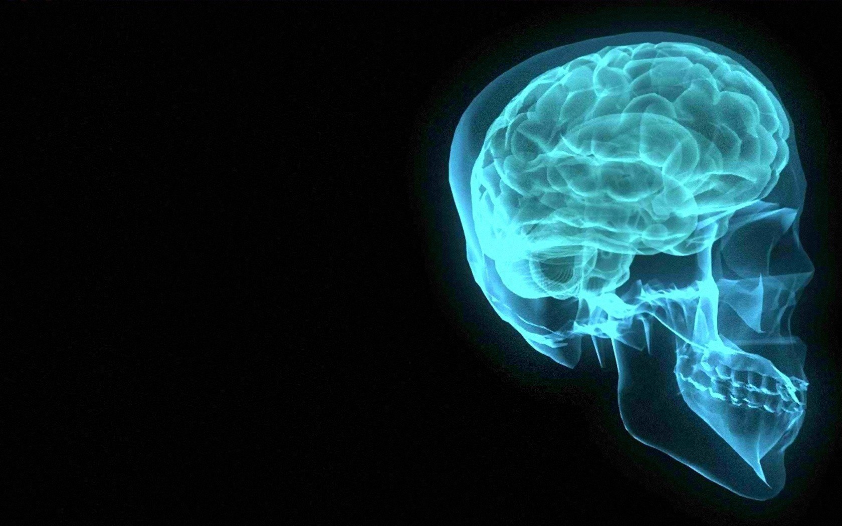 radiographie du cerveau bleu crâne cerveau tête fond fond noir mâchoire dents