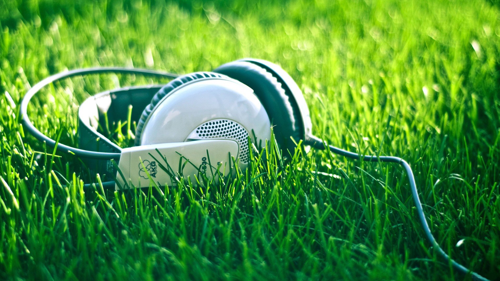 écouteurs cordon herbe été nature musique