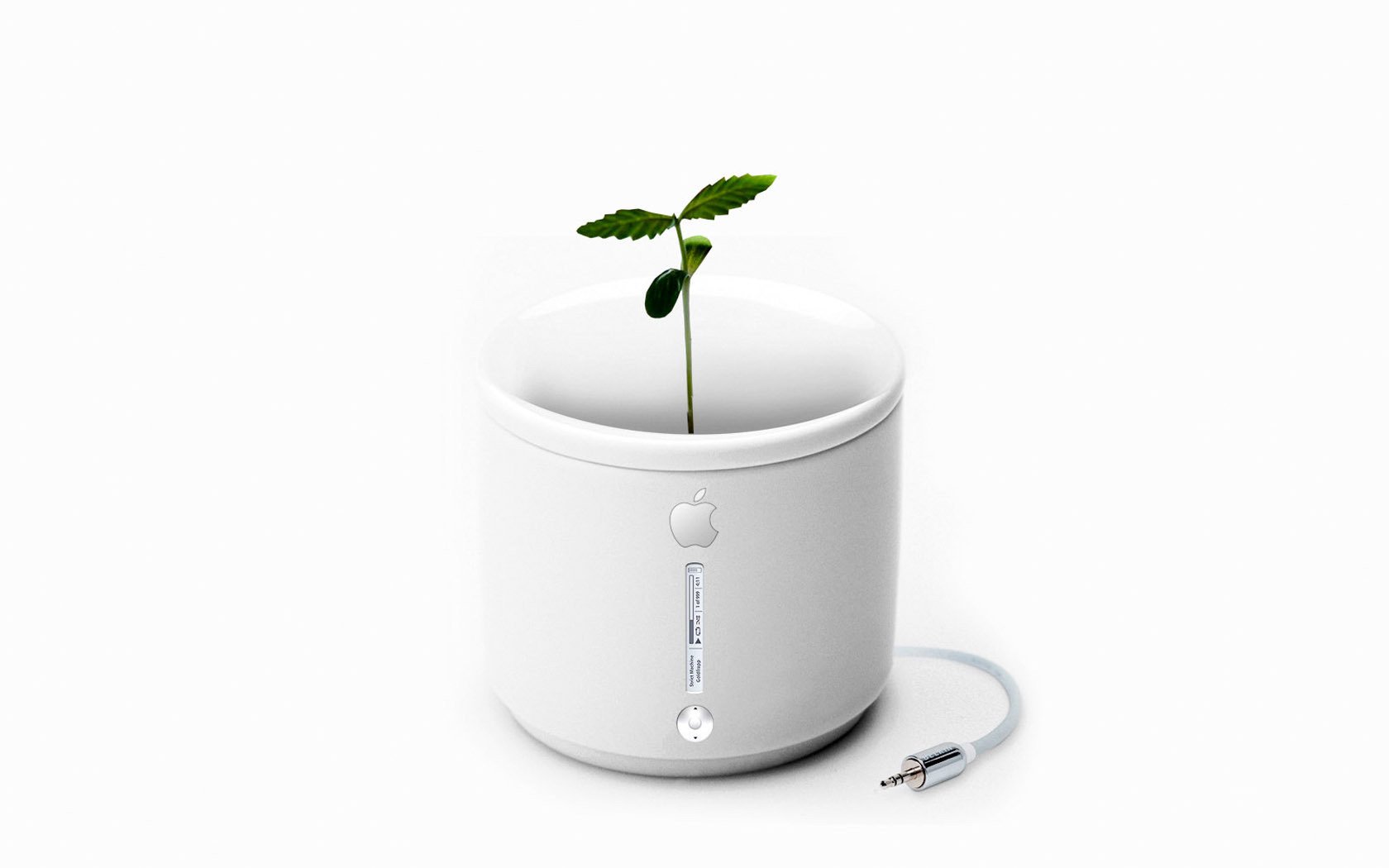 mall plant minimalism mug green color white background light background apple apple technology future simplicity style plant green color white color white green leaves leaf leaf