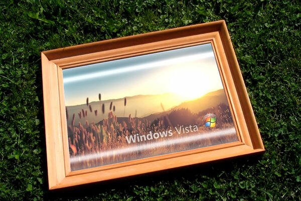 Beautiful bright frame on the grass