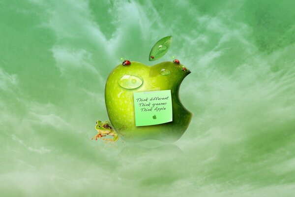 Ein Frosch versteckt sich hinter einem Apfel mit einem Blatt mit Text