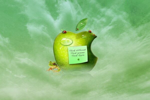 A frog hides behind an apple with a leaf with text