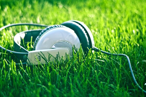 White headphones in the green grass