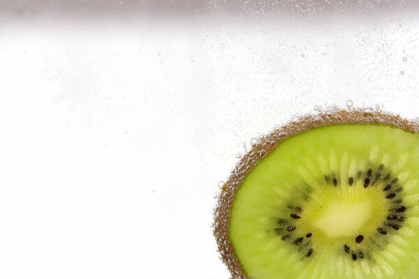 Kiwi green fruit white background