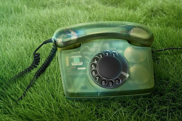 Teléfono en un estuche transparente sobre hierba verde