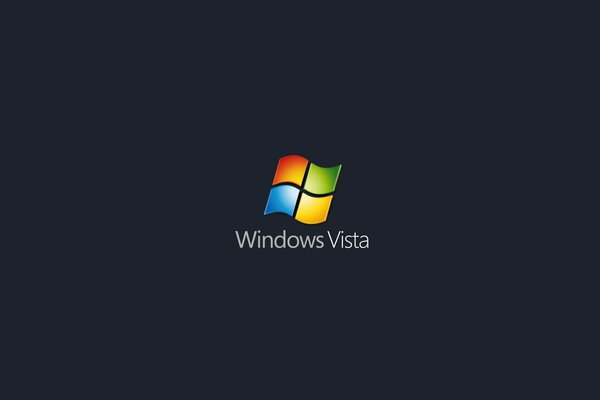 Das Bild zeigt das Windows-Logo