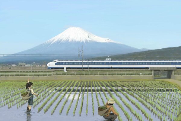 Girls when planting rice. Railway transport