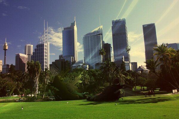 Edificios altos cerca del parque de la ciudad