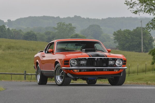 Mustang Ford rojo super cobra