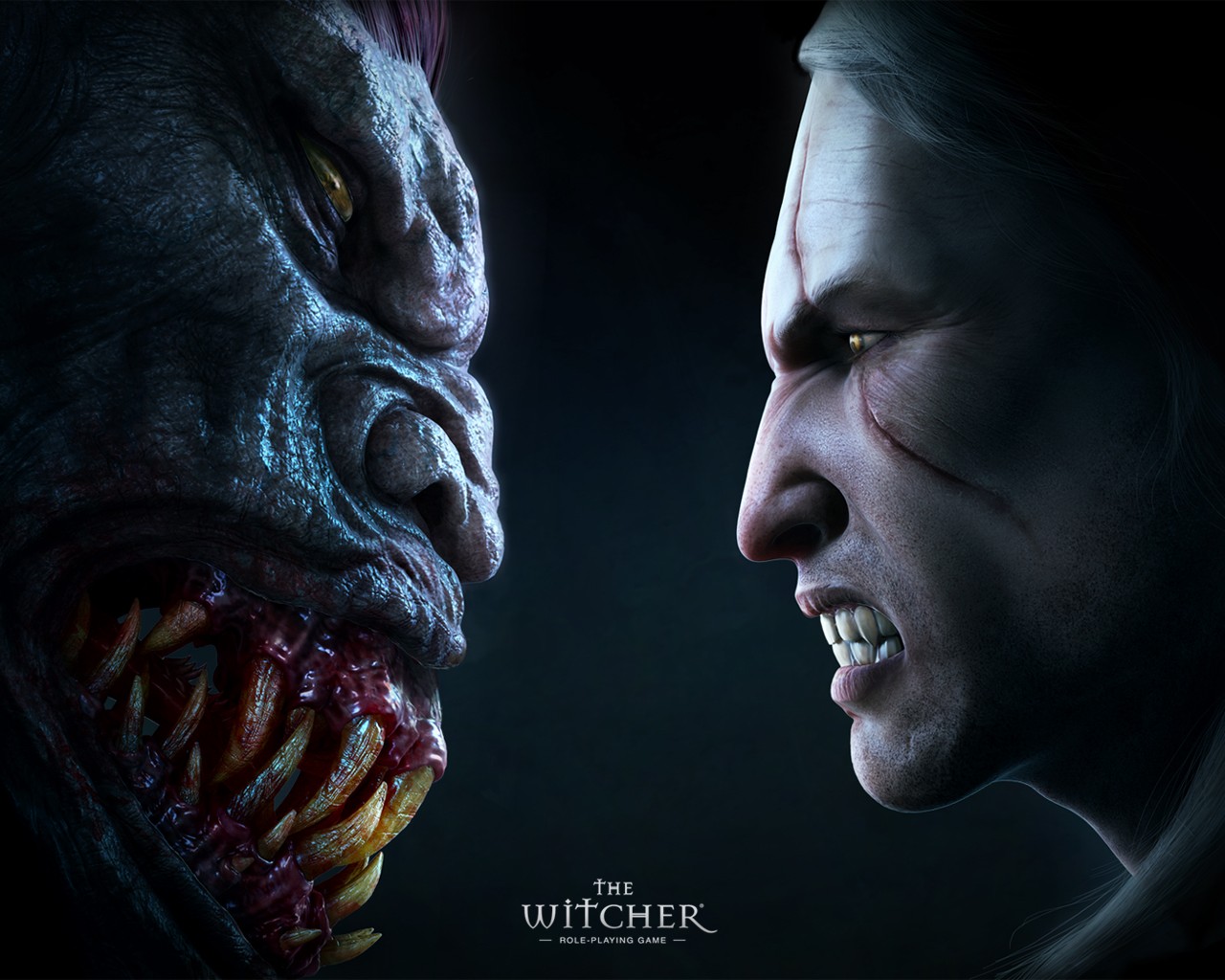 the witcher stryga face à face