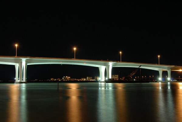 Illuminated bridge in the night city