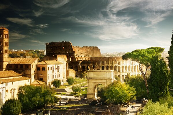 El Coliseo romano contra los árboles