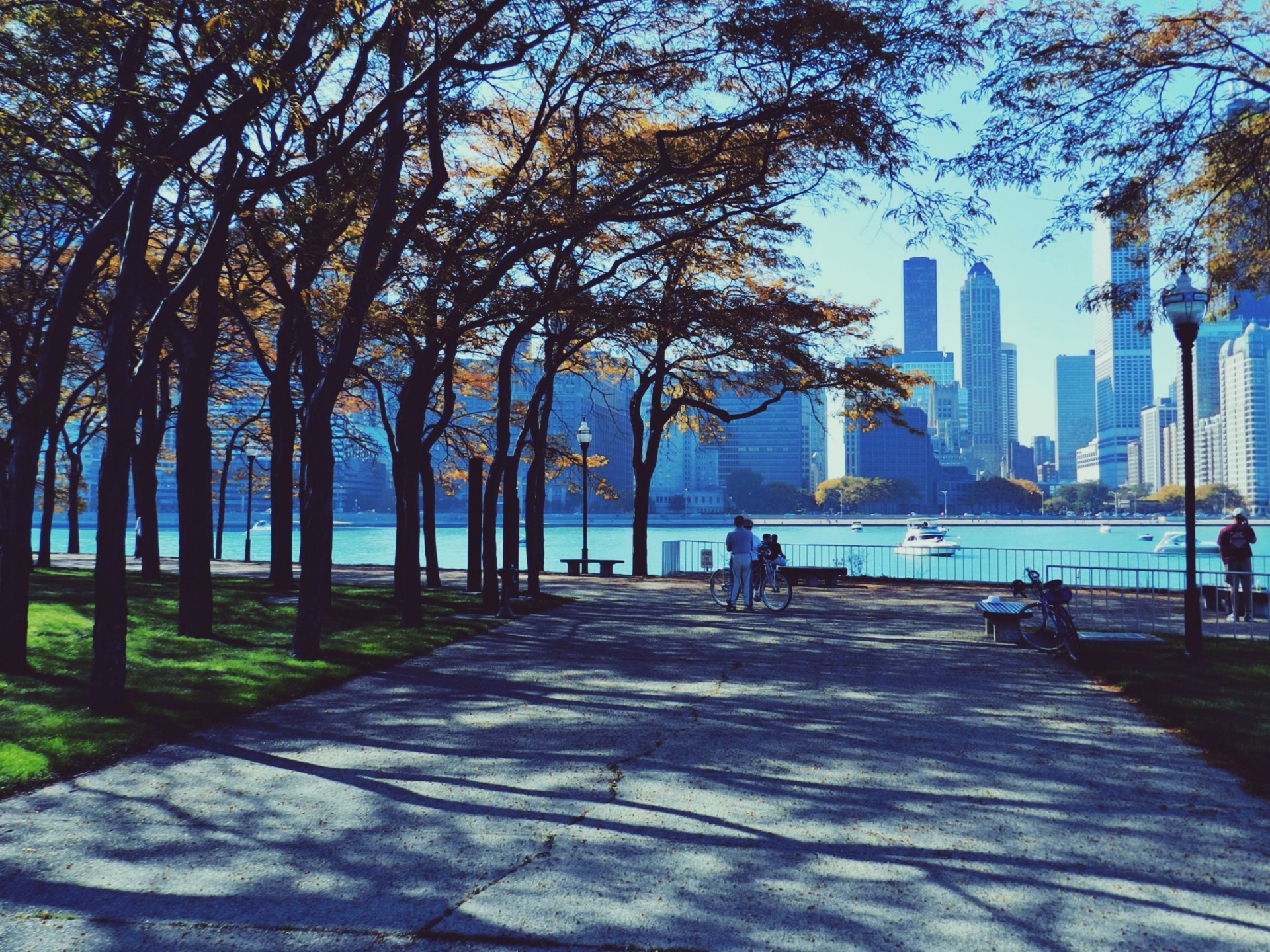 park skyscraper chicago people