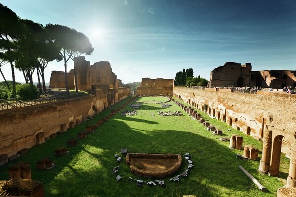 Verde erba alberi rovine Roma sole