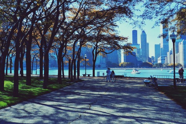 Parco a Chicago sullo sfondo di grattacieli