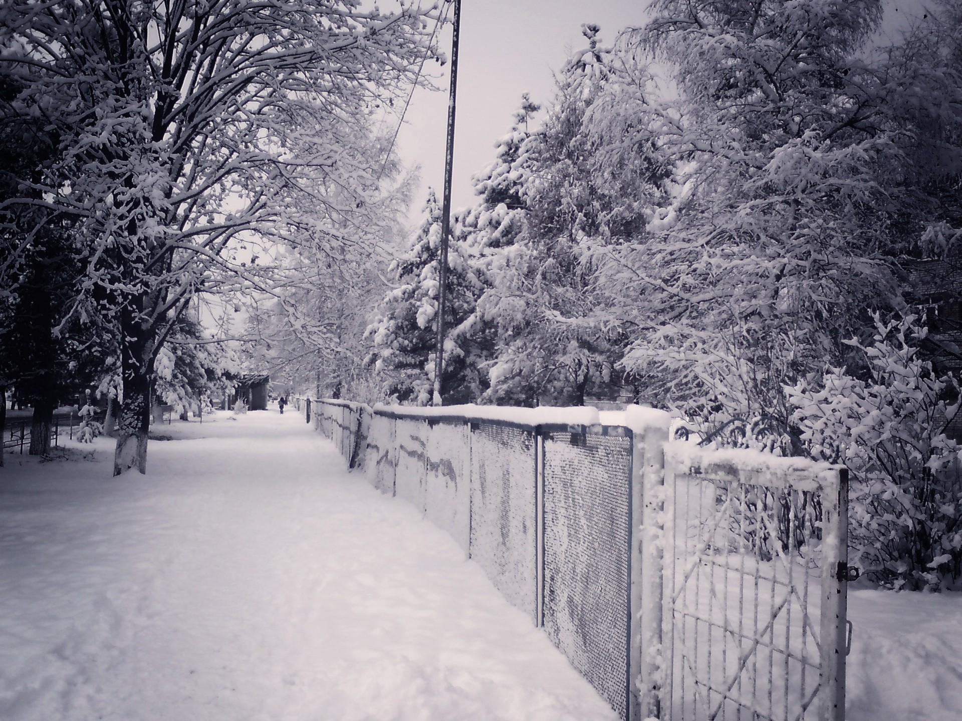 rue ville nuit neige hiver