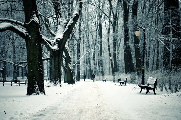 City snow park with a bench