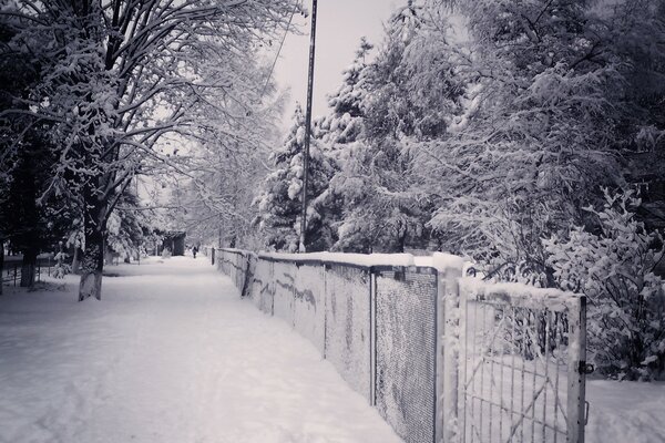 Snowy night in the city