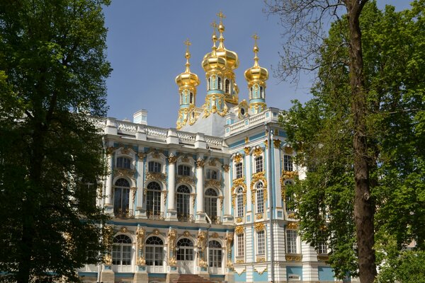 Carskie Sioło, Pałac Katarzyny w Puszkinie