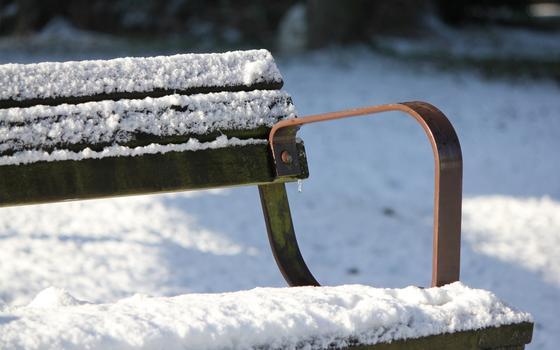 freddo panchine parco neve inverno panchina