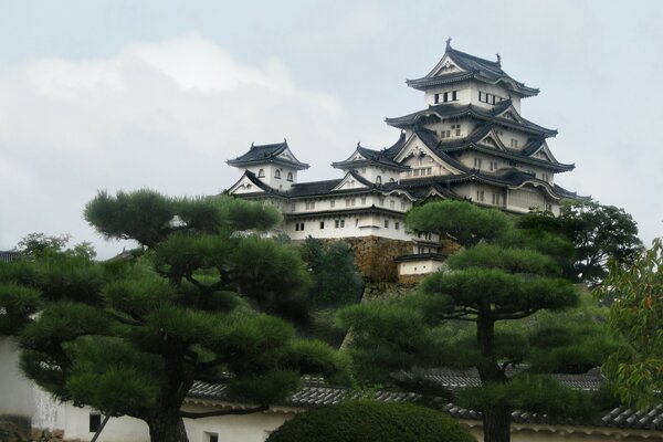 Japanische Burg auf einer Anhöhe auf einem Hintergrund von Bäumen