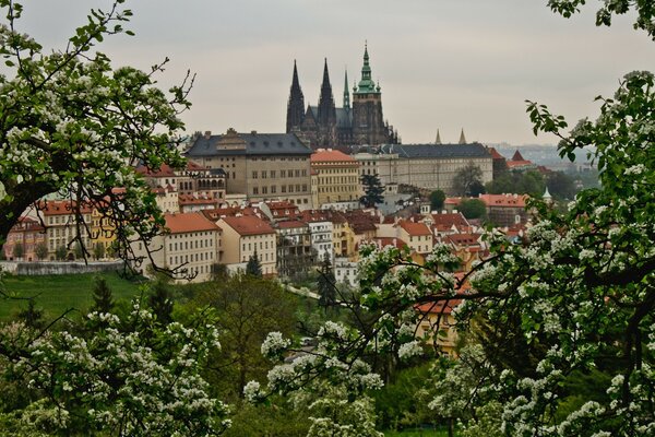 Vue panoramique du bâtiment République tchèque au printemps