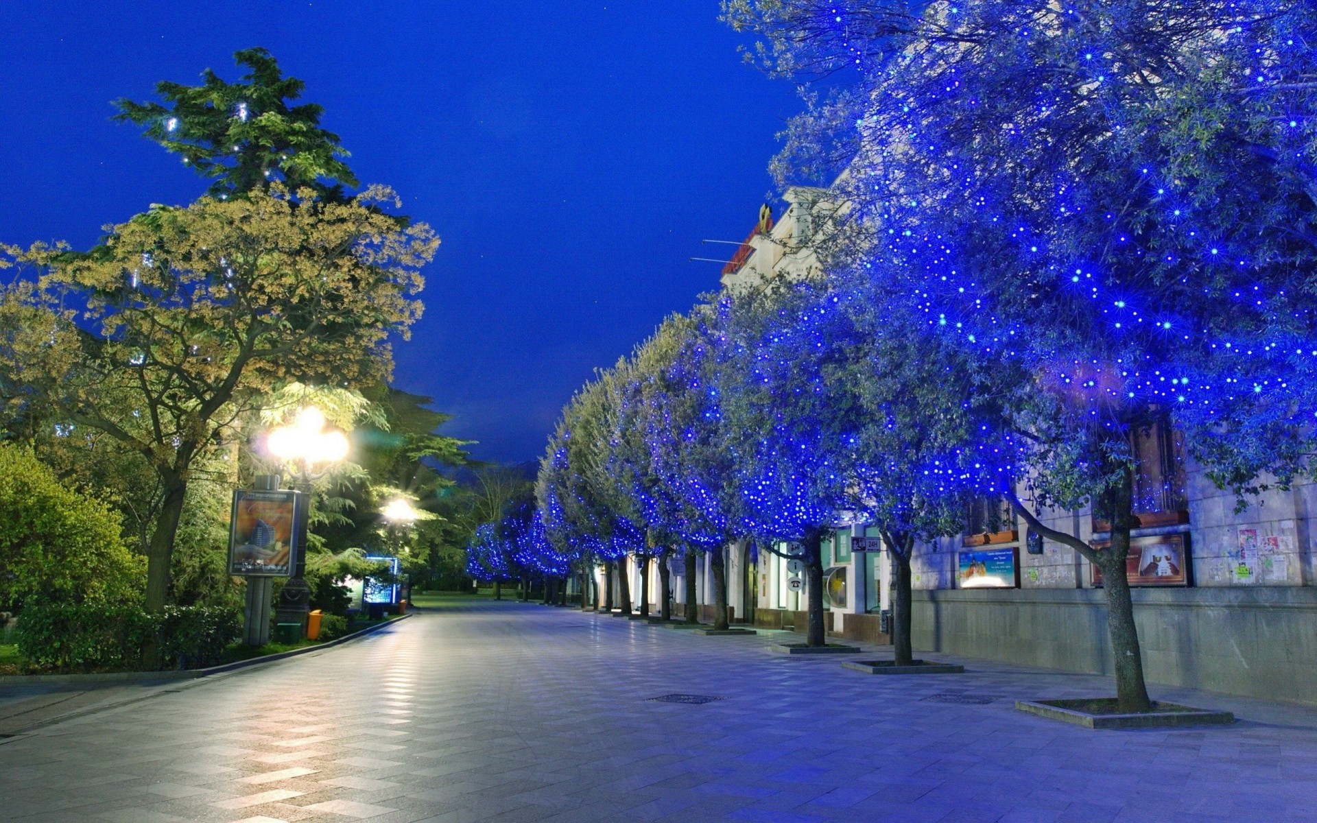 parc nuit palmiers bleu blanc lumières ville